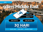 gSim! Middle East