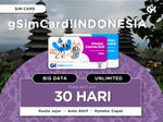 gSimCard! Indonesia